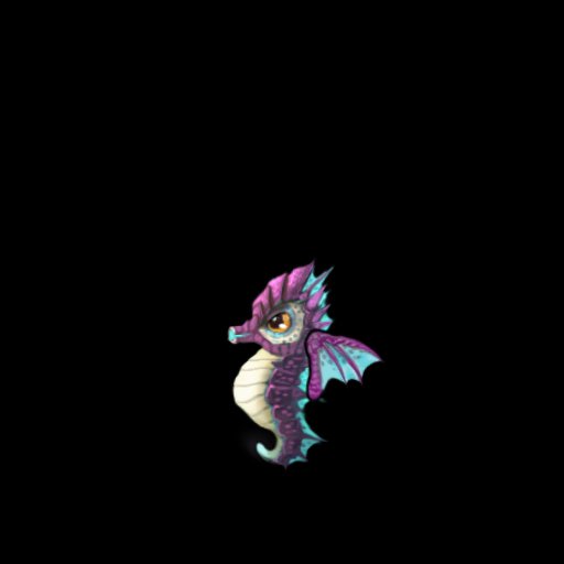 幻彩海马